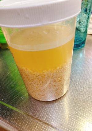 手作り塩麹-レシピのメイン写真