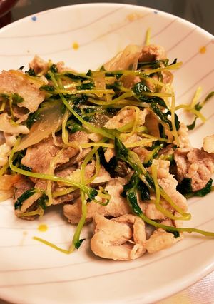 豆苗豚肉炒め-レシピのメイン写真