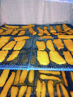 炊飯器で黄金色焼き芋-レシピのメイン写真