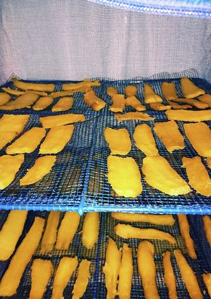 炊飯器で黄金色焼き芋-レシピのメイン写真