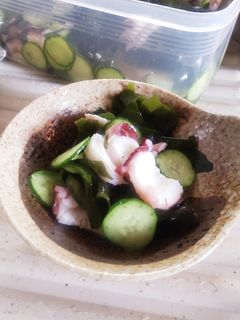 酢の物-レシピのメイン写真