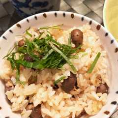 รูปของ むかごご飯