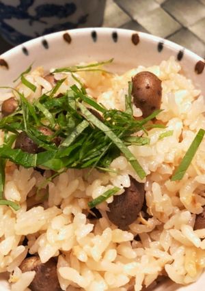 むかごご飯-レシピのメイン写真