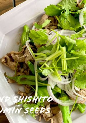 香味たっぷり!ラムとししとうのクミン炒め-レシピのメイン写真