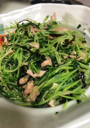 節約レシピ　豆苗シーチキン和え-レシピのメイン写真