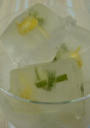 レモンとライムのアイスキューブ-レシピのメイン写真