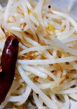 レンジのみ！3分で副菜！おつまみもやし♡-レシピのメイン写真