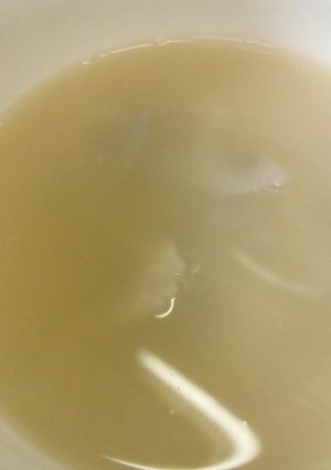 漢方医お勧め薬膳！蓮根猪骨髓湯-レシピのメイン写真