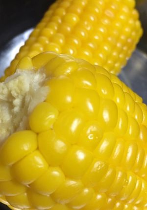 少量の水でコツなし☆茹でとうきび-レシピのメイン写真