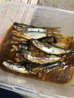 常備菜☆鰯の生姜煮-レシピのメイン写真