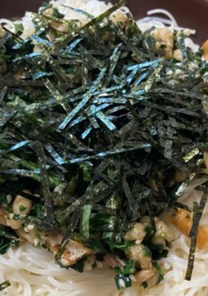 夏さっぱり！モロヘイヤぶっかけそうめん-レシピのメイン写真