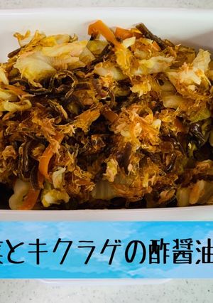 作り置き＊白菜とキクラゲの酢醤油和え-レシピのメイン写真