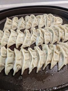 ホットプレートで焼く餃子-レシピのメイン写真