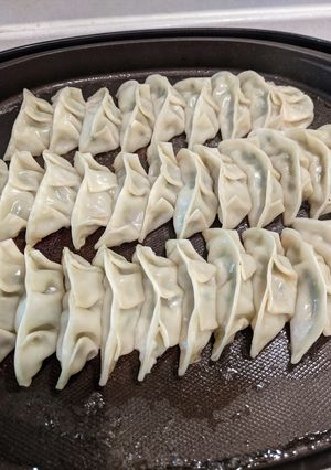 ホットプレートで焼く餃子-レシピのメイン写真