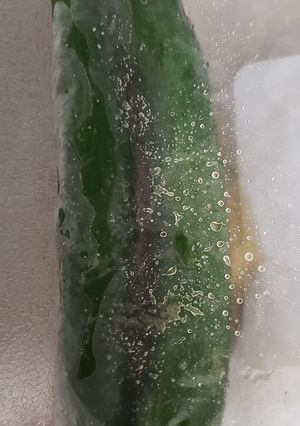 キュウリの１本漬け-レシピのメイン写真