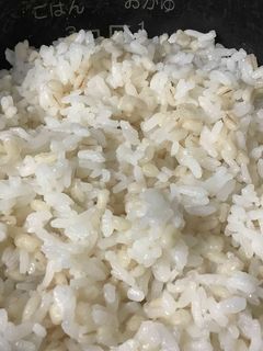 ふっくら美味しいもち麦ご飯の炊き方♬-レシピのメイン写真