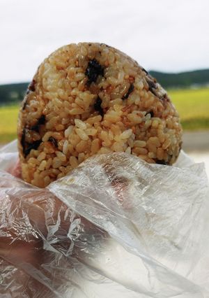 おにぎりカルテット♪-レシピのメイン写真