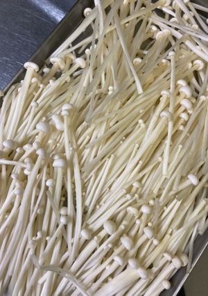 キノコの冷凍保存-レシピのメイン写真