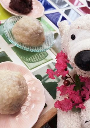 道明寺まんじゅう 〝すこしすっぱい⁈〟-レシピのメイン写真