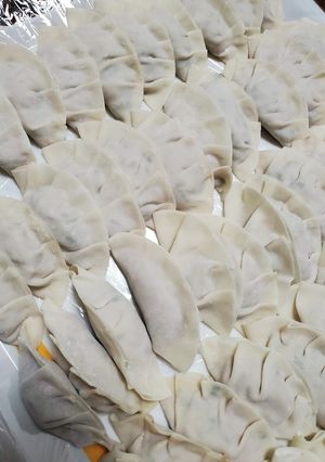 手作り餃子　ギョーザ　ごはんおかず　夜飯-レシピのメイン写真