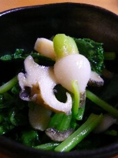 ちっちゃ~い♪かぶ菜と貝の和え物-レシピのメイン写真