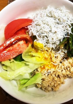 オートミールのちりめんじゃこ丼-レシピのメイン写真