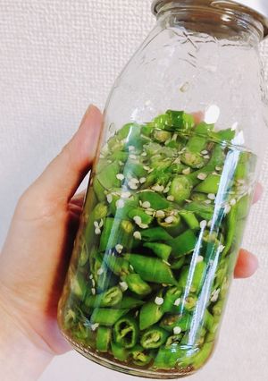 青唐辛子の酢漬け♪-レシピのメイン写真