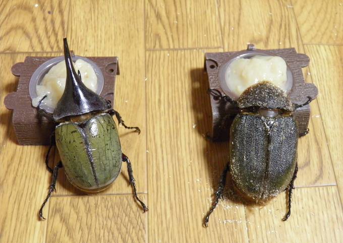 たんぱく昆虫ゼリー＊カブトムシ＊クワガタ by おとめてお 【クックパッド】 簡単おいしいみんなのレシピが392万品