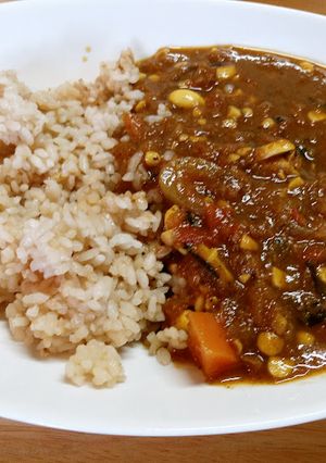 鹿スネ肉のカレー-レシピのメイン写真