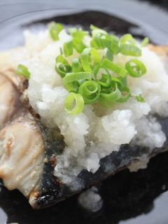 お酢でさっぱり!焼き魚のおろしソースかけ-レシピのメイン写真