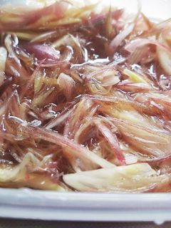 ミョウガの甘酢漬け-レシピのメイン写真