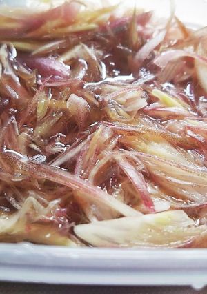 ミョウガの甘酢漬け-レシピのメイン写真