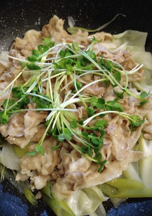 ワンパン　豚バラとキャベツの酒蒸し-レシピのメイン写真