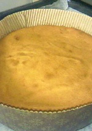チーズケーキもどきなヨーグルトケーキ-レシピのメイン写真