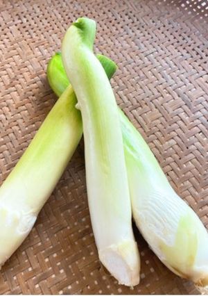 マコモダケの下処理これだけ!-レシピのメイン写真