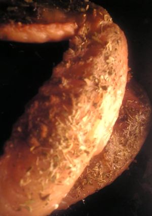 鶏手羽先の５種スパイスのオーブン焼き-レシピのメイン写真