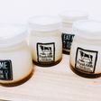 まるでパステル★ピスタチオとろりんプリン
