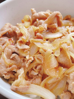冷凍保存可能☆ピリ辛豚丼-レシピのメイン写真