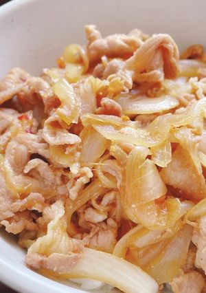 冷凍保存可能☆ピリ辛豚丼-レシピのメイン写真
