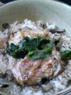 蒲焼のタレを使って　炊き込みご飯-レシピのメイン写真