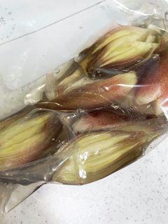 みょうが大量消費ピクルス-レシピのメイン写真