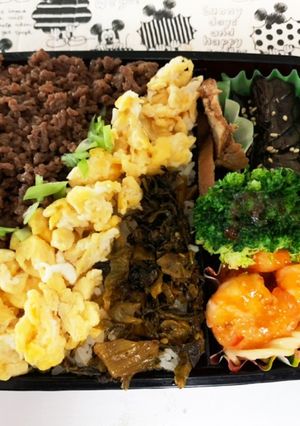 旦那様のそぼろ弁当-レシピのメイン写真