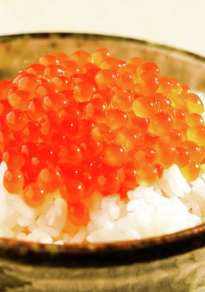 寿司屋女将が作る【いくら醤油漬け】-レシピのメイン写真