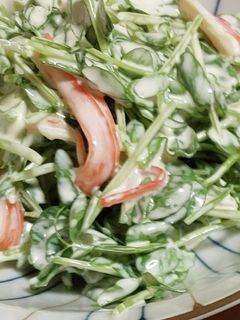 豆苗とカニカマのサラダ-レシピのメイン写真