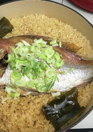 鯛めし-レシピのメイン写真