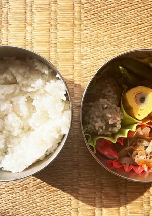 2年目｜怒涛のお弁当生活76日目-レシピのメイン写真