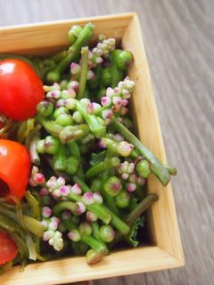 スパイス効いたつるむらさきの花のピクルス-レシピのメイン写真