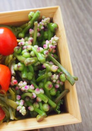 スパイス効いたつるむらさきの花のピクルス-レシピのメイン写真