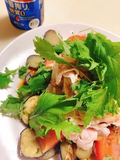 茄子が美味しい冷しゃぶサラダ-レシピのメイン写真