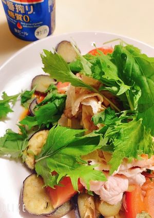 茄子が美味しい冷しゃぶサラダ-レシピのメイン写真